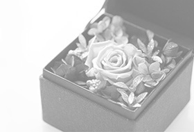 花画像のスライドショー1白黒a