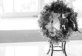 花画像のスライドショー2白黒