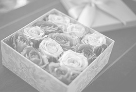 花画像のスライドショー3白黒