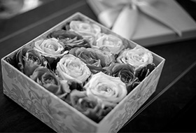 花画像のスライドショー3白黒